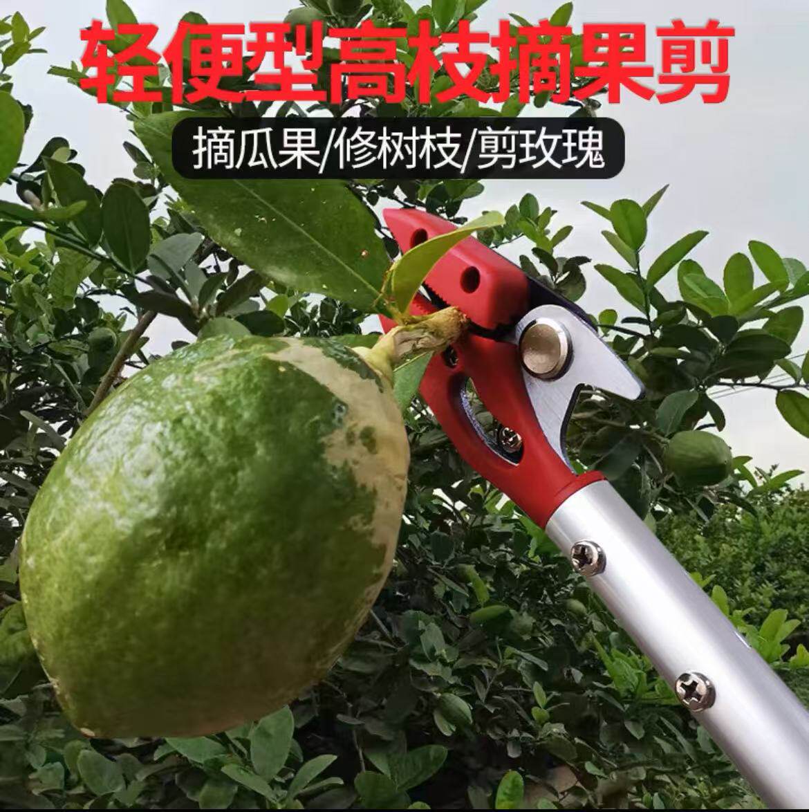 摘果剪猕猴桃打尖神器美枝王高空剪刀摘柠檬玫瑰抬剪树枝铝金手柄
