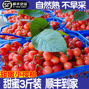 浙江小樱桃新鲜水果当季中华黄草非米易孕妇水果土樱桃水晶小樱珠