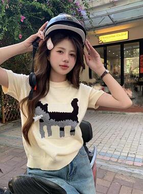 秋季新款灰色提花T恤女设计感宽松圆领针织衫内搭短袖上衣ins甜美