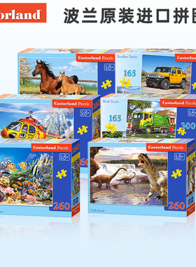 Castorland 波兰进口儿童拼图260片54片小跑车 27255益智玩具礼物