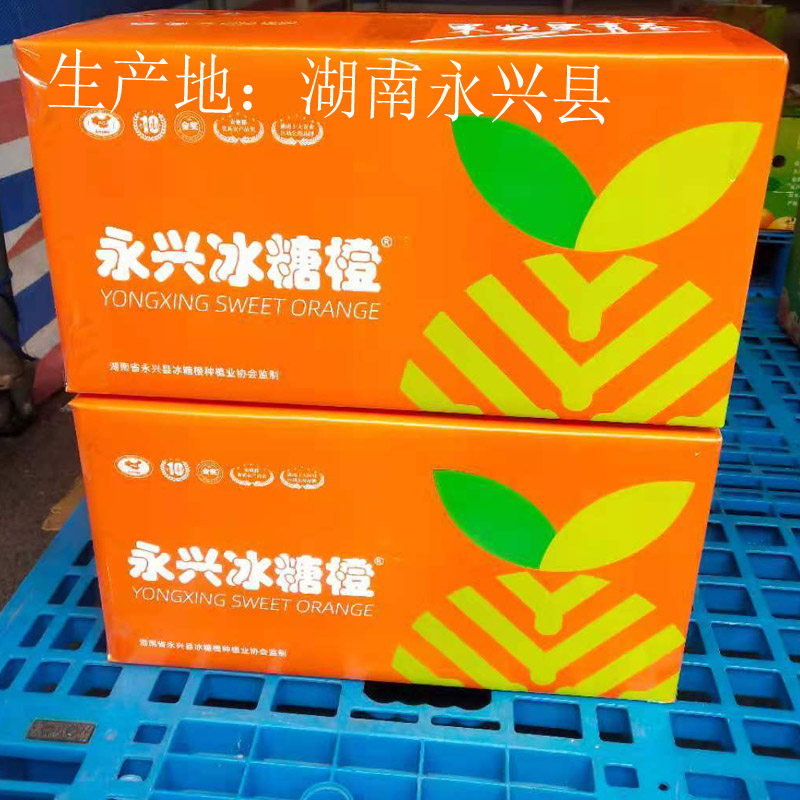 永兴冰糖橙自然成熟甜脆现摘新鲜