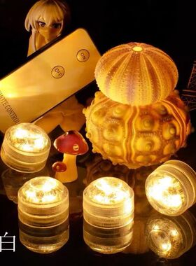 LED防水灯遥控氛围灯RGB暖色无线潜水灯景观灯装饰灯遥控小灯迷你