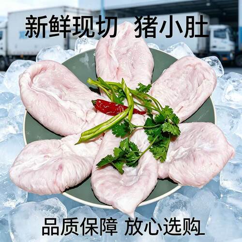 小肚新鲜冷冻尿泡膀胱猪下水散养土猪整箱肚子商用猪肚卤菜批发