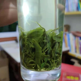 遂欣特产2025年遂昌农家土茶 纯龙井雨后香茶 新春茶叶袋装 250克