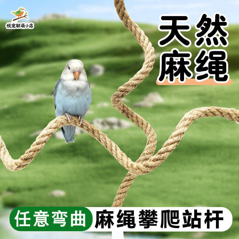 吸盘麻绳鹦鹉U形站架吸盘安装