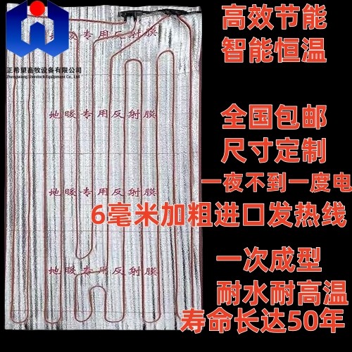 养殖专用电地暖猪用地暖节能恒温