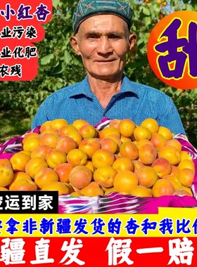 小红杏新疆直发假一赔十