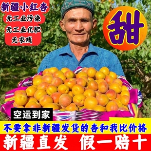 新疆小红杏当季吊干杏5斤新鲜超甜水果杏子小白杏阿克苏喀什黄杏