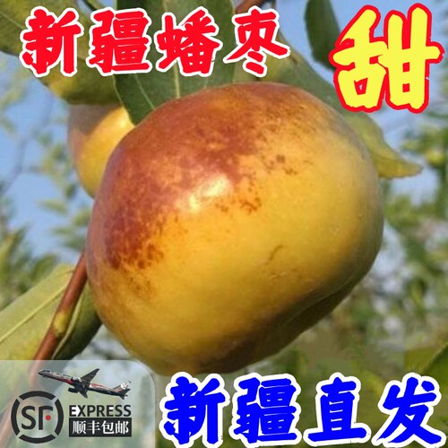 甜到爆的新疆蟠枣假一赔十