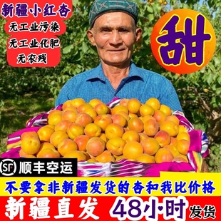 新疆小红杏正宗超甜当季新鲜水果小白杏3斤吐鲁番库车5轮台4顺丰