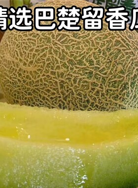 新疆正宗巴楚留香瓜哈密瓜当季