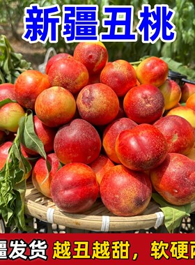 新疆沙漠丑桃【新疆发货】现货