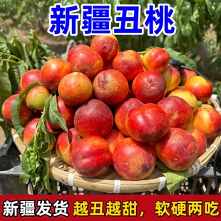 新疆丑桃油桃沙漠桃子当季新鲜整箱黄心油桃孕妇脆甜桃子麻脸麻点