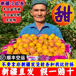新疆小红杏当季吊干杏5斤新鲜超甜水果杏子小白杏阿克苏喀什黄杏