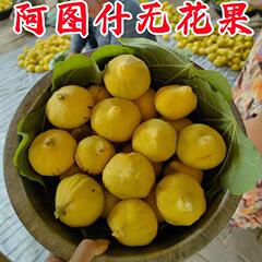 新疆无花果阿图什糖包子新鲜无果花孕妇水果营养应季黄皮送礼盒