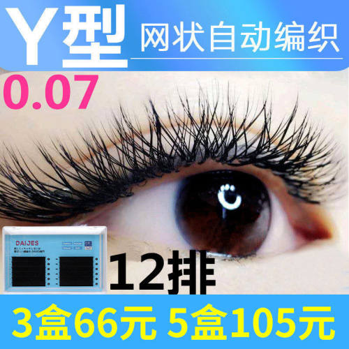 0.07y型睫毛山茶花嫁接网状编织