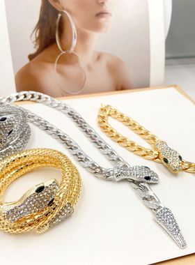 路易同款手镯项饰 欧美感个性时尚夸张蛇动物重金属项链