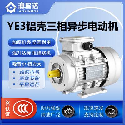 YE3铝壳三相异步电机4w-4380V415v50hz60hzB3设备配套全铜电机