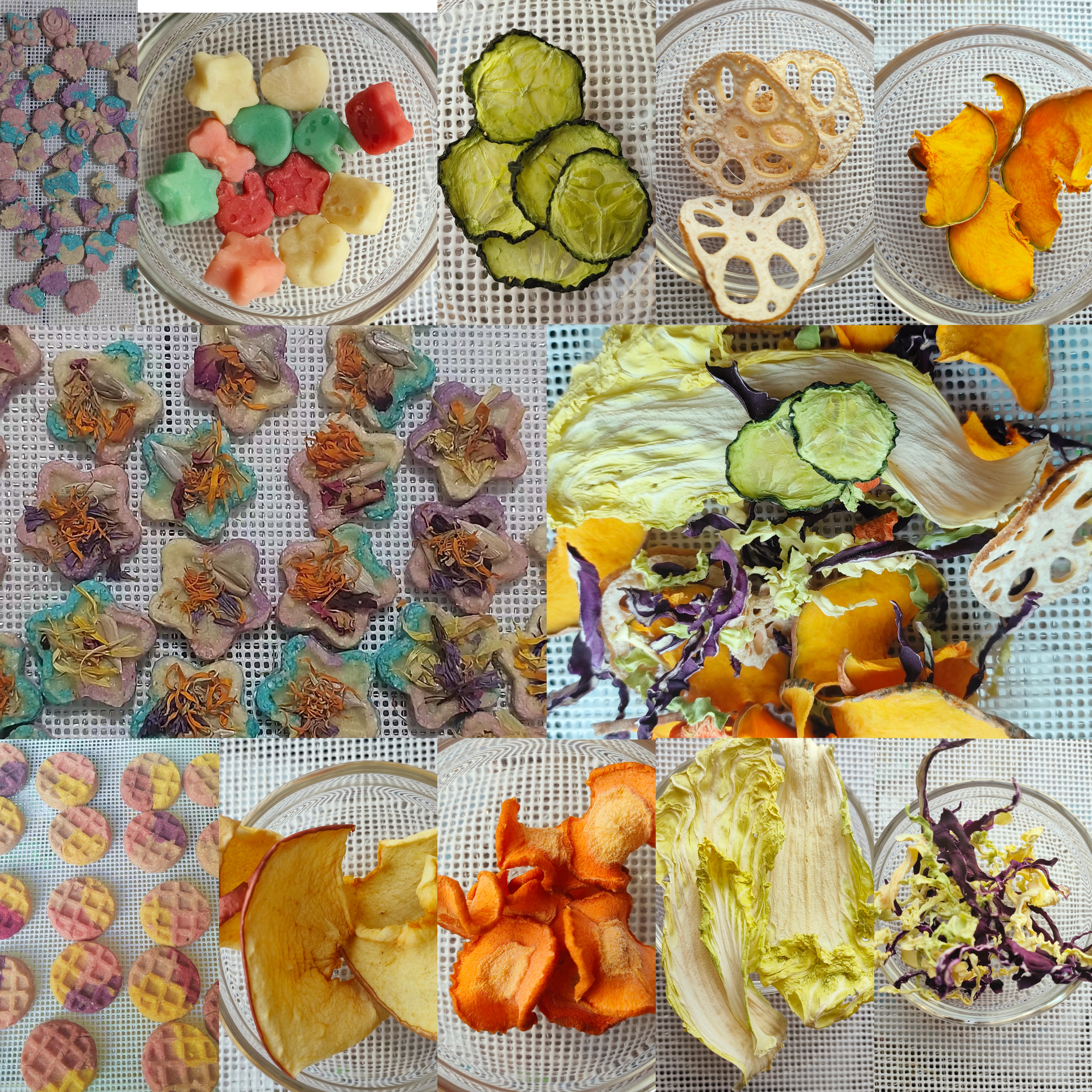 胖墩家满28包邮手工自制磨牙饼烘干果蔬干仓鼠金丝熊兔子豚鼠