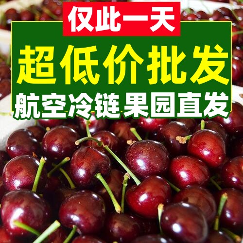 山东美早大樱桃应季新鲜车厘子烟台樱珠露天脆甜水果产地直发特大