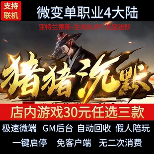 传奇单机电脑版猪猪沉默微变单职业四大陆沉默假人GM后台微端联网