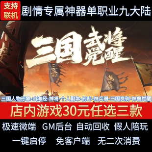 三国武将觉醒传奇单机版剧情专属神器单职业假人GM后台微端联机网