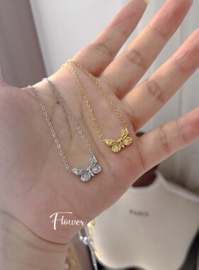 梦幻蝴蝶钛钢项链时尚精致百搭高级感轻奢小众设计感送闺蜜锁骨链