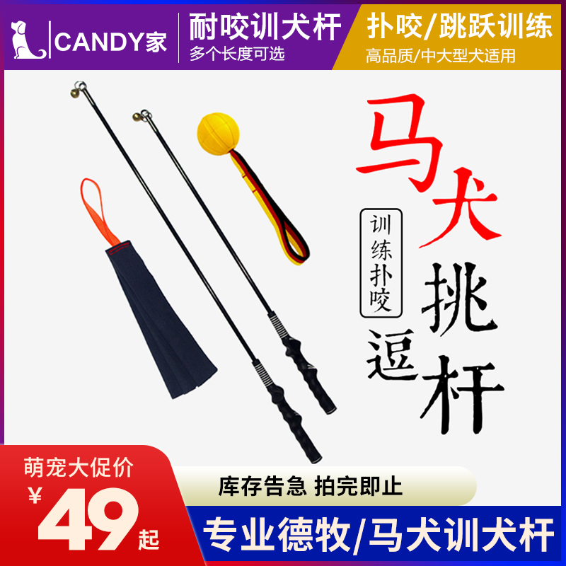 逗引牛皮德牧训练用品扑咬马犬