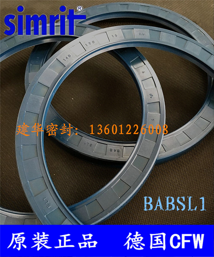 德国马达骨架油封