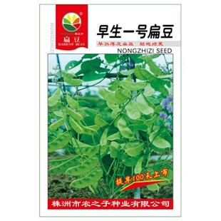 早生一号扁豆种子大全传统蔬菜种籽农家绿眉豆种孑四季春秋春天秋