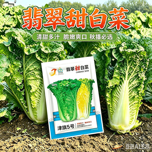 翡翠甜白菜种子清甜多汁脆嫩爽口