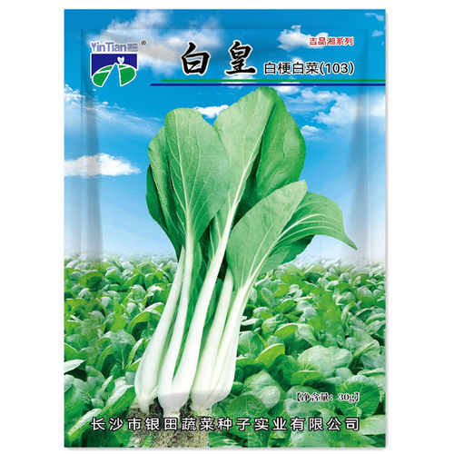 吉品湘白梗赤叶小白菜籽