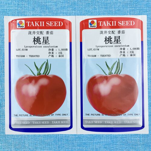 粉果番茄种子进口西红柿