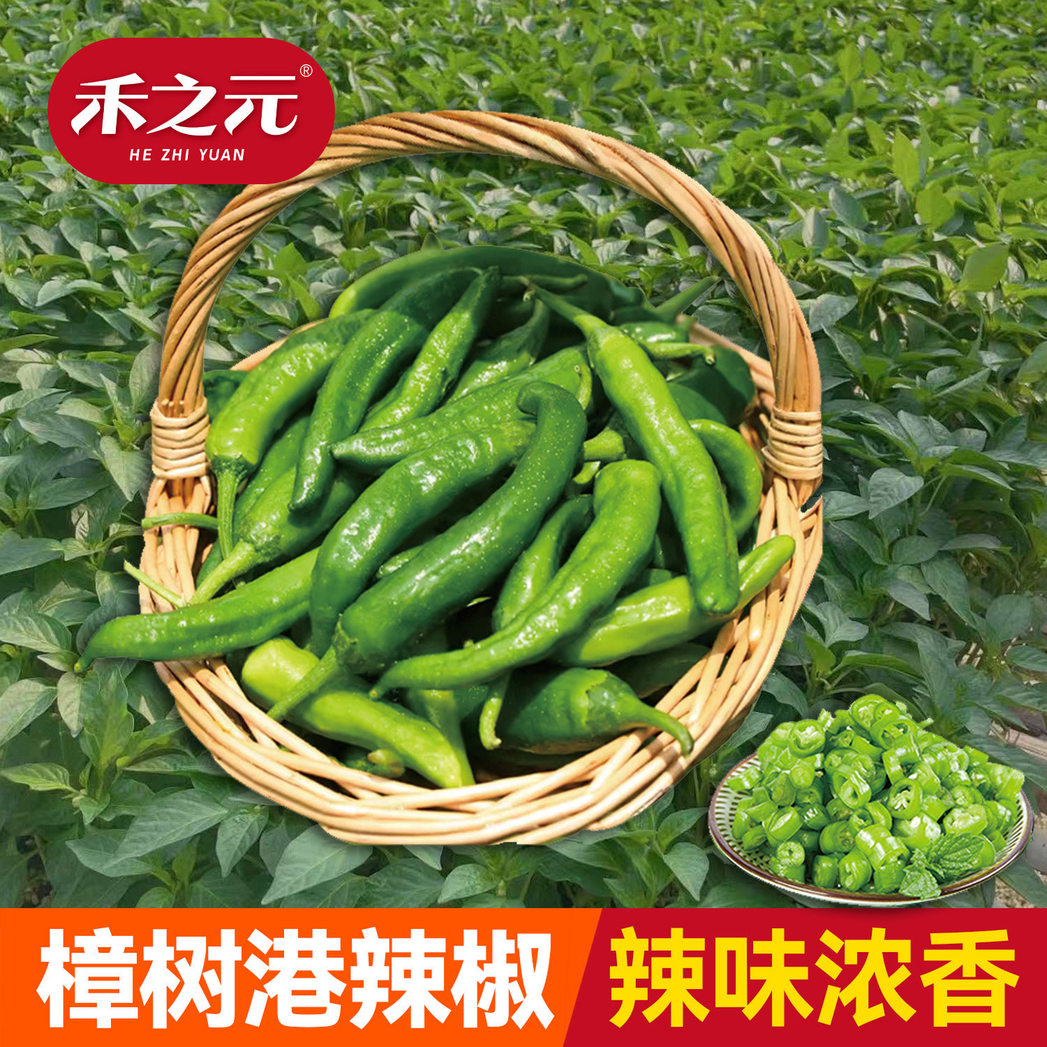 蟋蟀牌樟树港辣椒苗秧苗种子尖椒种籽春秋羊角种籽禾之元蔬菜种孑,鲜花速递/花卉仿真/绿植园艺,家庭园艺种子,淘宝优惠券,粉丝福利购,淘宝优惠卷