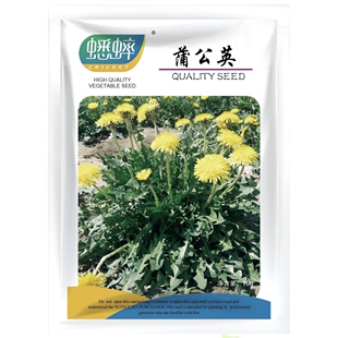 蒲公英种籽种子四季 野菜种孑药盆栽蔬菜青菜大全籽 婆婆丁春秋冬季