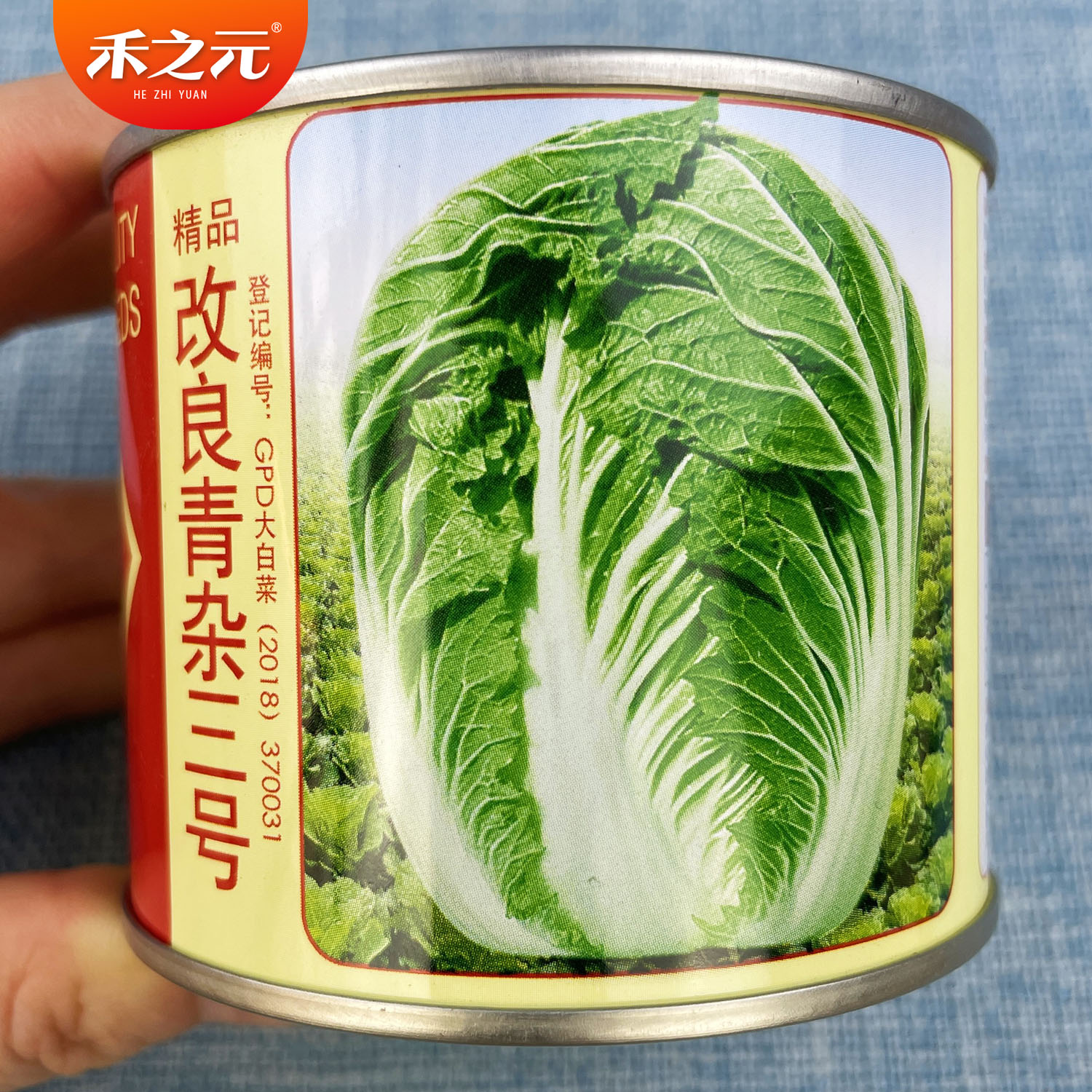 改良三号青岛秋季山东胶州大白菜