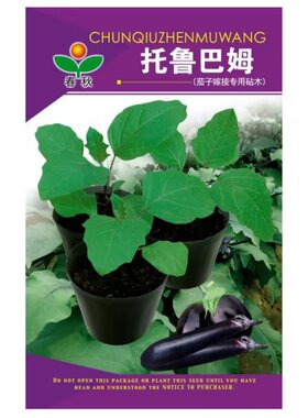 春秋托鲁巴姆种子茄子嫁接专用砧木种子春夏秋冬季种孑八目大棚籽