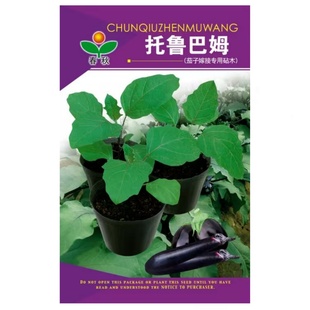 春秋托鲁巴姆种子茄子嫁接专用砧木种子春夏秋冬季种孑八目大棚籽
