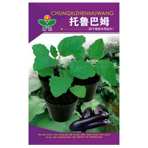 春秋托鲁巴姆种子茄子嫁接专用砧木种子春夏秋冬季种孑八目大棚籽
