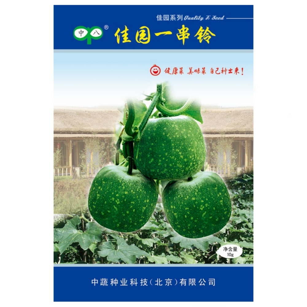 佳园一串铃小冬瓜种子迷你水果播