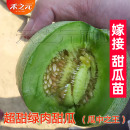 绿宝石羊角蜜甜瓜种子 四季 高产超甜 种籽大全秧苗西瓜 香瓜苗春季