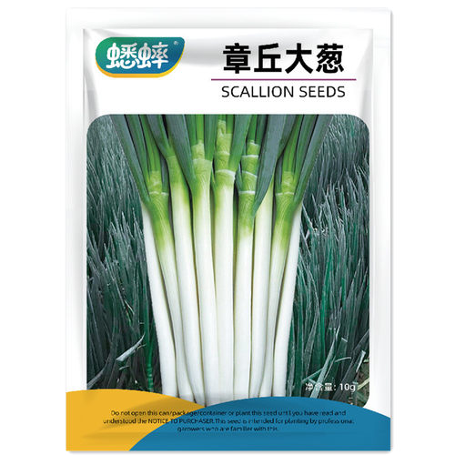 章丘铁杆大葱种子大香葱