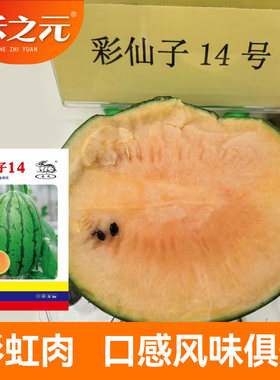 冰激凌口感礼品西瓜种子东方正大