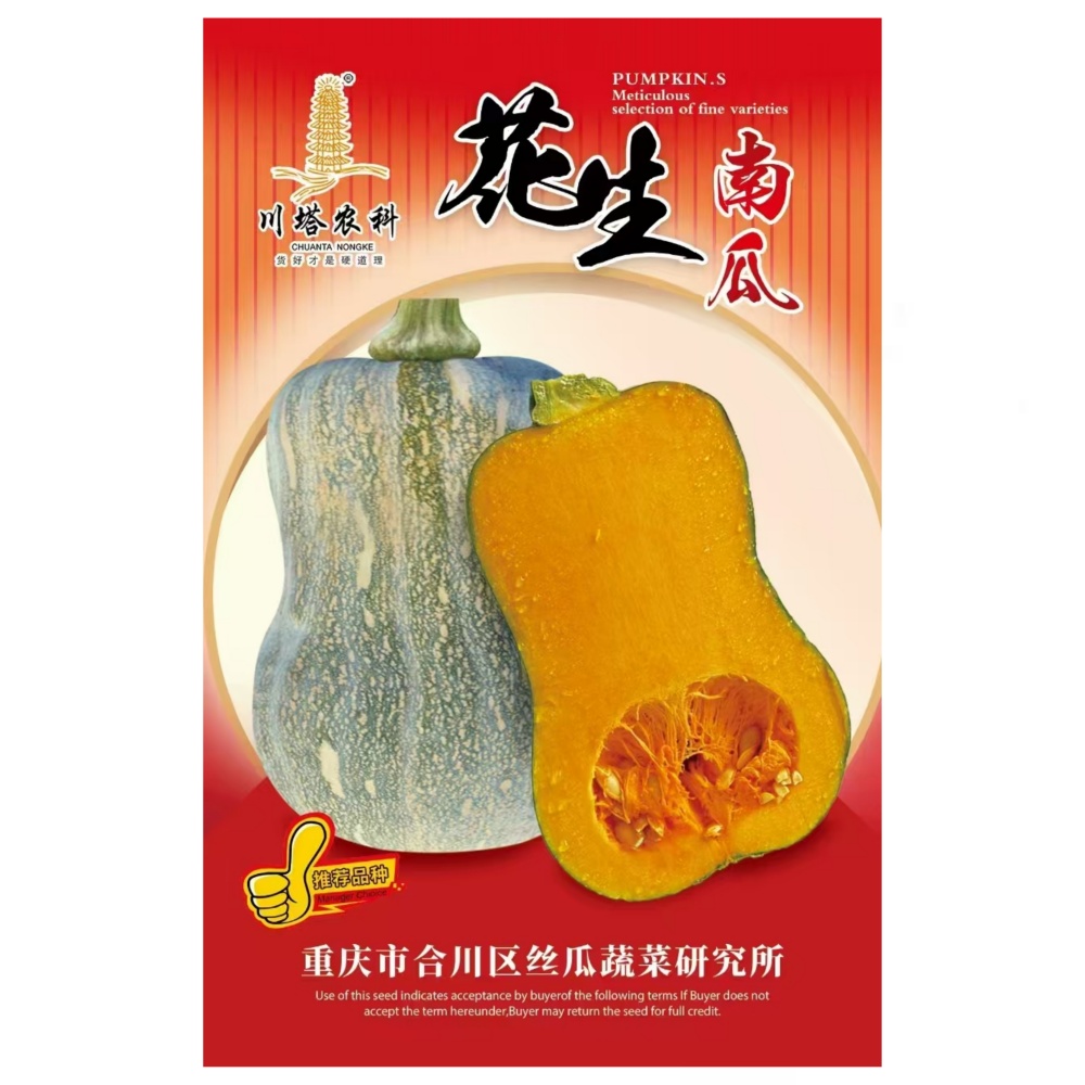 川塔花生南瓜种子小果型