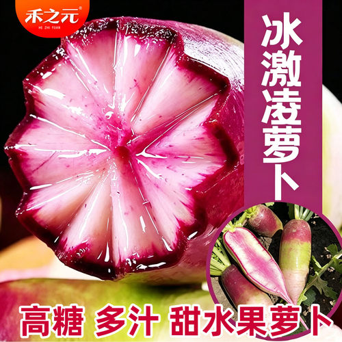 冰激凌甜心水果萝卜种子甜脆型