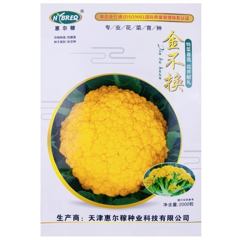 黄花菜种子黄色花椰菜种籽四季菜花水果法国日本流行秋春季,鲜花速递/花卉仿真/绿植园艺,家庭园艺种子,淘宝优惠券,粉丝福利购,淘宝优惠卷