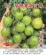 2 саженца зеленых сладких томатов №2, сладких со вкусом