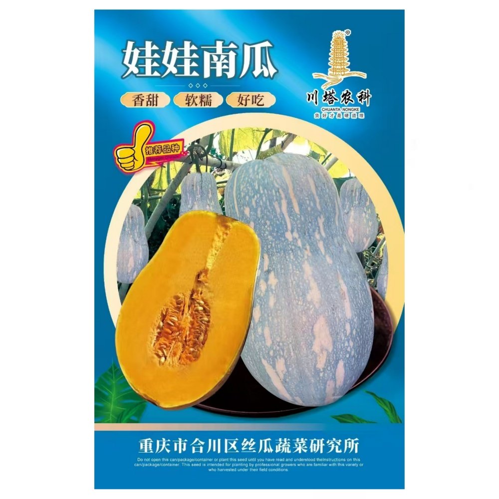 娃娃南瓜种子粉甜面蜜本南籽四季种孑春季贝贝蔬菜孑菜种菜籽,鲜花速递/花卉仿真/绿植园艺,家庭园艺种子,淘宝优惠券,粉丝福利购,淘宝优惠卷