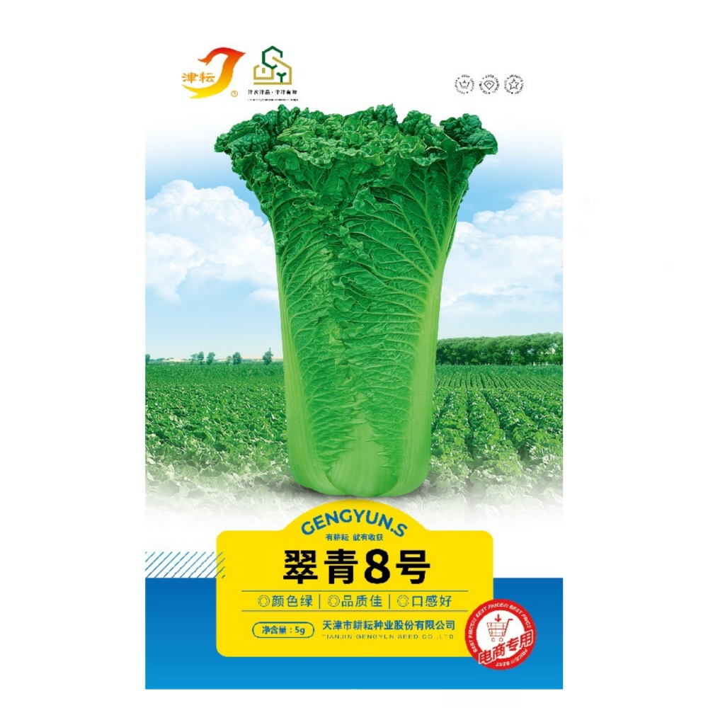 津耘翠青8号青麻叶大白菜种子
