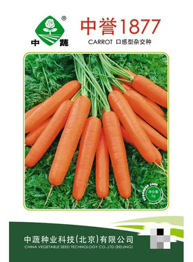 中誉1877胡萝卜种子春季秋蔬菜籽